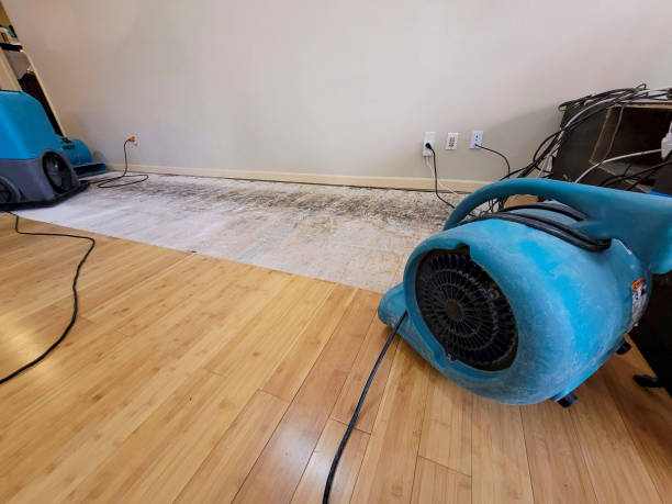 Professional Water Damage Repair technician working in Williamstown, OH